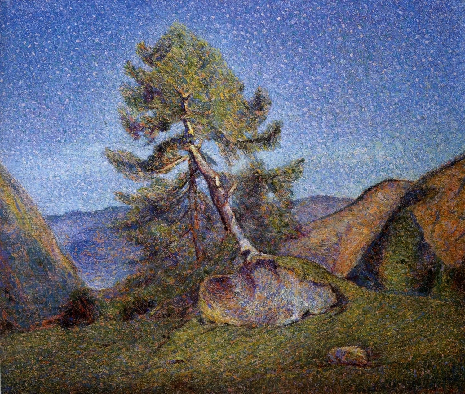 Il pino sradicato